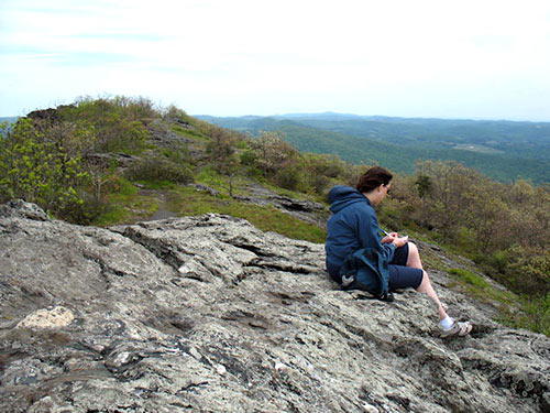 Blue Ridge View